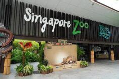 best zoo in asia|Zoos in Asia: A Comprehensive Guide .
